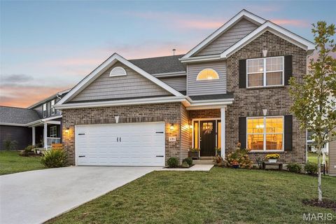 Tiny photo for 171 Prairie Wind Drive, Wentzville, MO 63385 (MLS # 25076669)