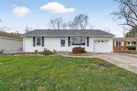 Photo of 505 Blumhoff Avenue, Wentzville, MO 63385 (MLS # 25078271)