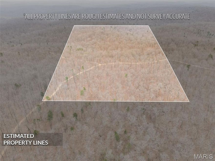 20 acres of wooded land in the heart of Saint Francois Mountains - just miles from trails, camping, and black river. Perfect for hunting, off road fun, and outdoor living! There is an existing AWD friendly jeep trail through the property. Imagine having you're own secluded weekend or year round getaway!