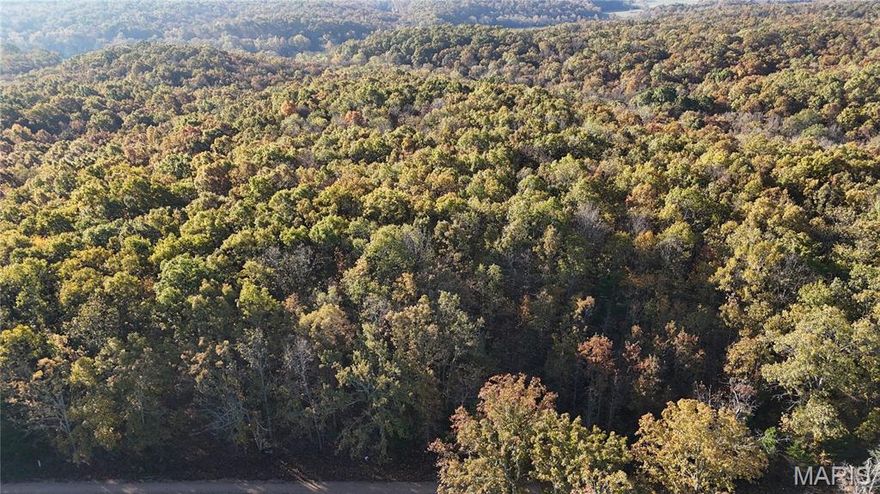 This 10 +/- acres of adventure is awaiting its new owner!! If you are looking for a versatile property to hunt, explore, build your dream home & be 7 minutes from Salem, then this one is worth your time to look at. The property has some marketable timber including white oak, red oak & hickory.  There are many locations to build your dream home in a private and peaceful setting. This property is located on a well-maintained gravel road 3/10ths of a mile off of a chip and seal road. Located within a few minutes of Shawnee Mac Lakes and Mark Twain National Forest. Within 30 minutes of the Current River & Meramec River. For the avid hunters, this property also provides an abundance of Deer and Turkey. Property will be surveyed prior to closing. Multiple adjoining tracts if you want to purchase more! Call to schedule your private showing today!!