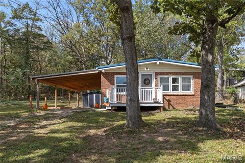 14147 Timberline Drive De Soto MO 63020