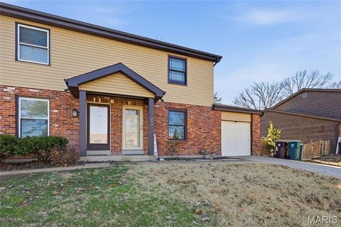 244 Wolfner Drive Fenton MO 63026