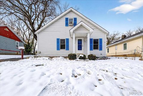 Photo of 815 Cornell Avenue, Webster Groves, MO 63119 (MLS # 25044297)