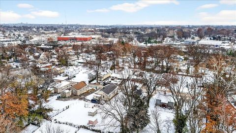 Tiny photo for 815 Cornell Avenue, Webster Groves, MO 63119 (MLS # 25044297)