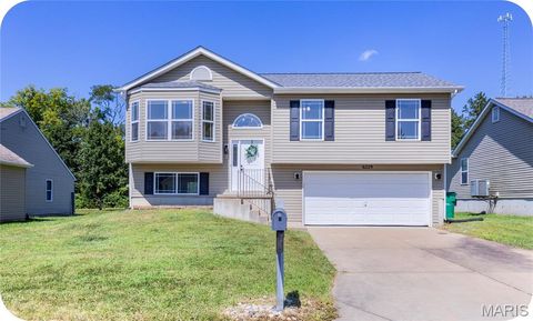 6229 Twin Springs Boulevard Cedar Hill MO 63016