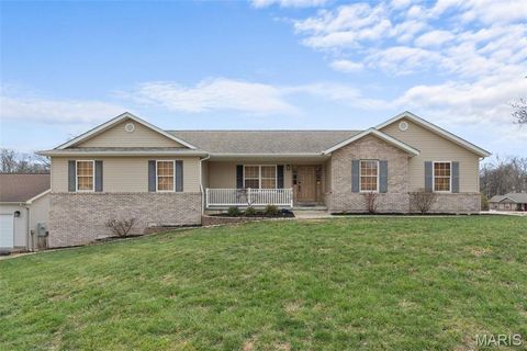 Photo of 2108 Ashton Hills Court, Washington, MO 63090 (MLS # 26016307)