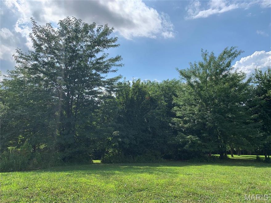 Great Walk-out Lot available for your next home, with privacy in the backyard.  Public water, sewer and natural gas on site. 25' set backs off front line and 5' off each sideline, plans must be approved by Architectural Review Board. $100 HOA fee paid yearly, minimum sq ft is 1700. Additional Rooms: In Platted Subdv.