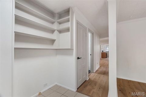 Tiny photo for 3421 Osage Street, St Louis, MO 63118 (MLS # 25069413)