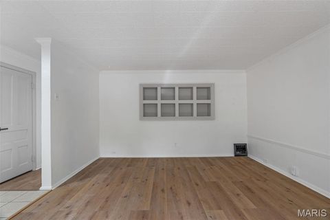 Tiny photo for 3421 Osage Street, St Louis, MO 63118 (MLS # 25069413)