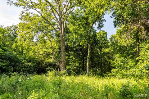 Tiny photo for 00 Highway 154, Stoutsville, MO 65283 (MLS # 26043544)