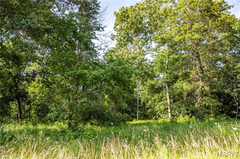 Tiny photo for 00 Highway 154, Stoutsville, MO 65283 (MLS # 26043544)