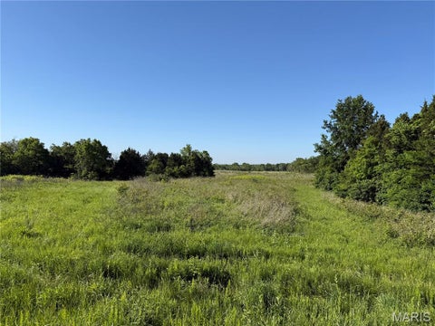 Tiny photo for 00 Snyder Road, Troy, MO 63379 (MLS # 26029631)