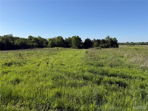 Tiny photo for 00 Snyder Road, Troy, MO 63379 (MLS # 26029631)
