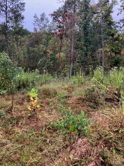 Cherokee Pass - Land