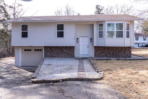 3110 Carron Road Festus MO 63028