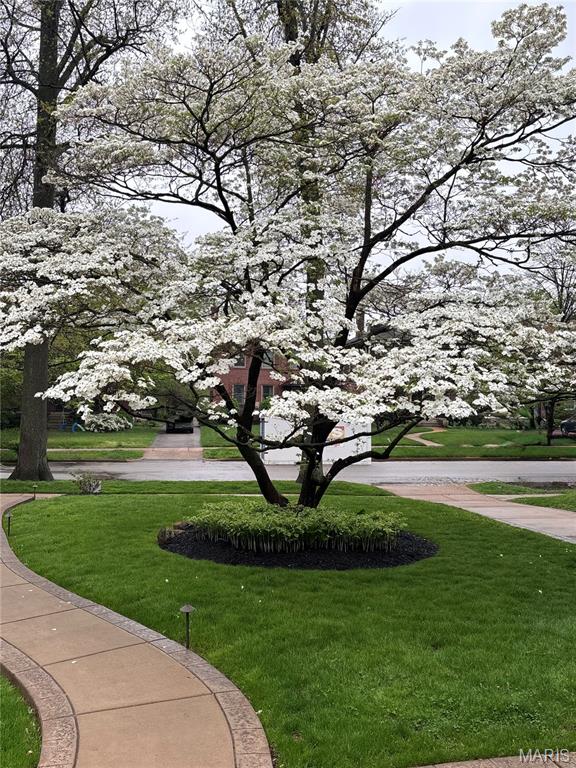 7133 Washington Avenue