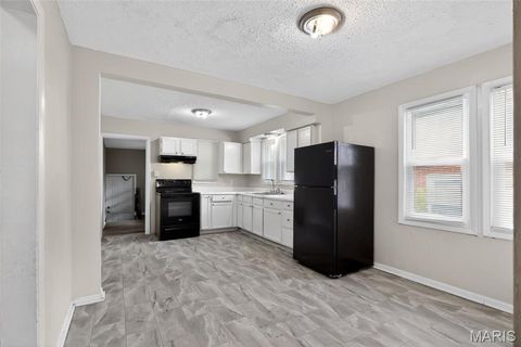 Tiny photo for 4115 Begg Boulevard, St Louis, MO 63121 (MLS # 26025148)