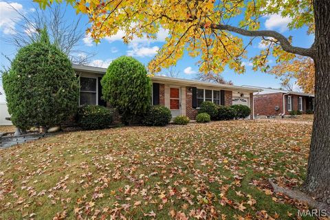 10275 Julius Northway St Louis MO 63127