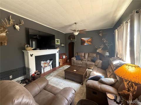 Tiny photo for 16682 Pike 292, Bowling Green, MO 63334 (MLS # 26044768)