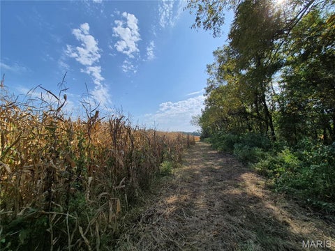 Tiny photo for 0 Russell Rd. (Tract 6 - 26+/- Acres), Troy, MO 63379 (MLS # 26060033)