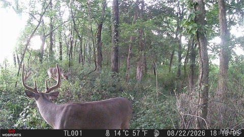 Tiny photo for 0 Russell Rd. (Tract 6 - 26+/- Acres), Troy, MO 63379 (MLS # 26060033)