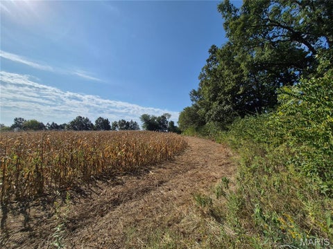 Tiny photo for 0 Russell Rd. (Tract 6 - 26+/- Acres), Troy, MO 63379 (MLS # 26060033)