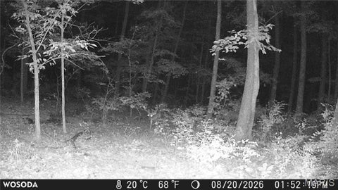 Tiny photo for 0 Russell Rd. (Tract 6 - 26+/- Acres), Troy, MO 63379 (MLS # 26060033)