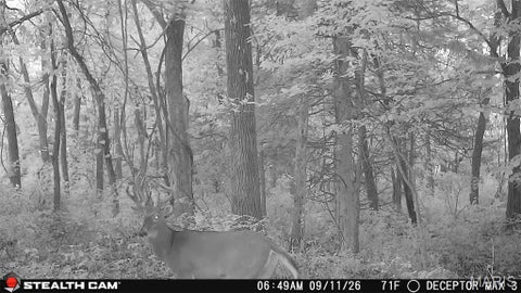 Tiny photo for 0 Russell Rd. (Tract 6 - 26+/- Acres), Troy, MO 63379 (MLS # 26060033)