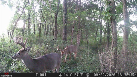 Tiny photo for 0 Russell Rd. (Tract 6 - 26+/- Acres), Troy, MO 63379 (MLS # 26060033)