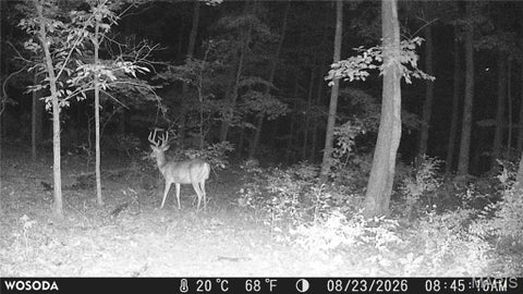 Tiny photo for 0 Russell Rd. (Tract 6 - 26+/- Acres), Troy, MO 63379 (MLS # 26060033)