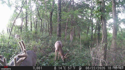 Tiny photo for 0 Russell Rd. (Tract 6 - 26+/- Acres), Troy, MO 63379 (MLS # 26060033)