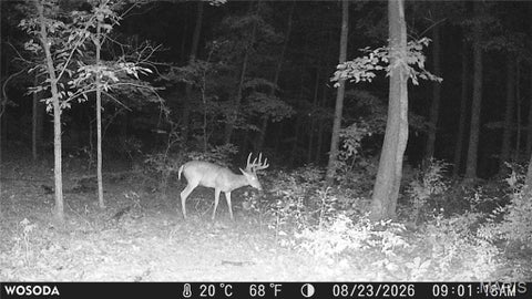 Tiny photo for 0 Russell Rd. (Tract 6 - 26+/- Acres), Troy, MO 63379 (MLS # 26060033)
