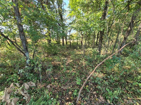 Tiny photo for 0 Russell Rd. (Tract 6 - 26+/- Acres), Troy, MO 63379 (MLS # 26060033)
