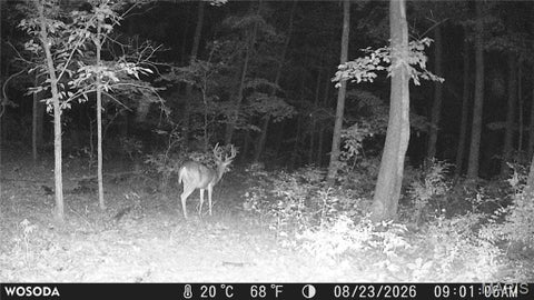 Tiny photo for 0 Russell Rd. (Tract 6 - 26+/- Acres), Troy, MO 63379 (MLS # 26060033)