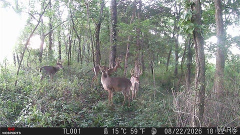 Tiny photo for 0 Russell Rd. (Tract 6 - 26+/- Acres), Troy, MO 63379 (MLS # 26060033)