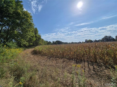 Tiny photo for 0 Russell Rd. (Tract 6 - 26+/- Acres), Troy, MO 63379 (MLS # 26060033)