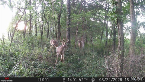 Tiny photo for 0 Russell Rd. (Tract 6 - 26+/- Acres), Troy, MO 63379 (MLS # 26060033)
