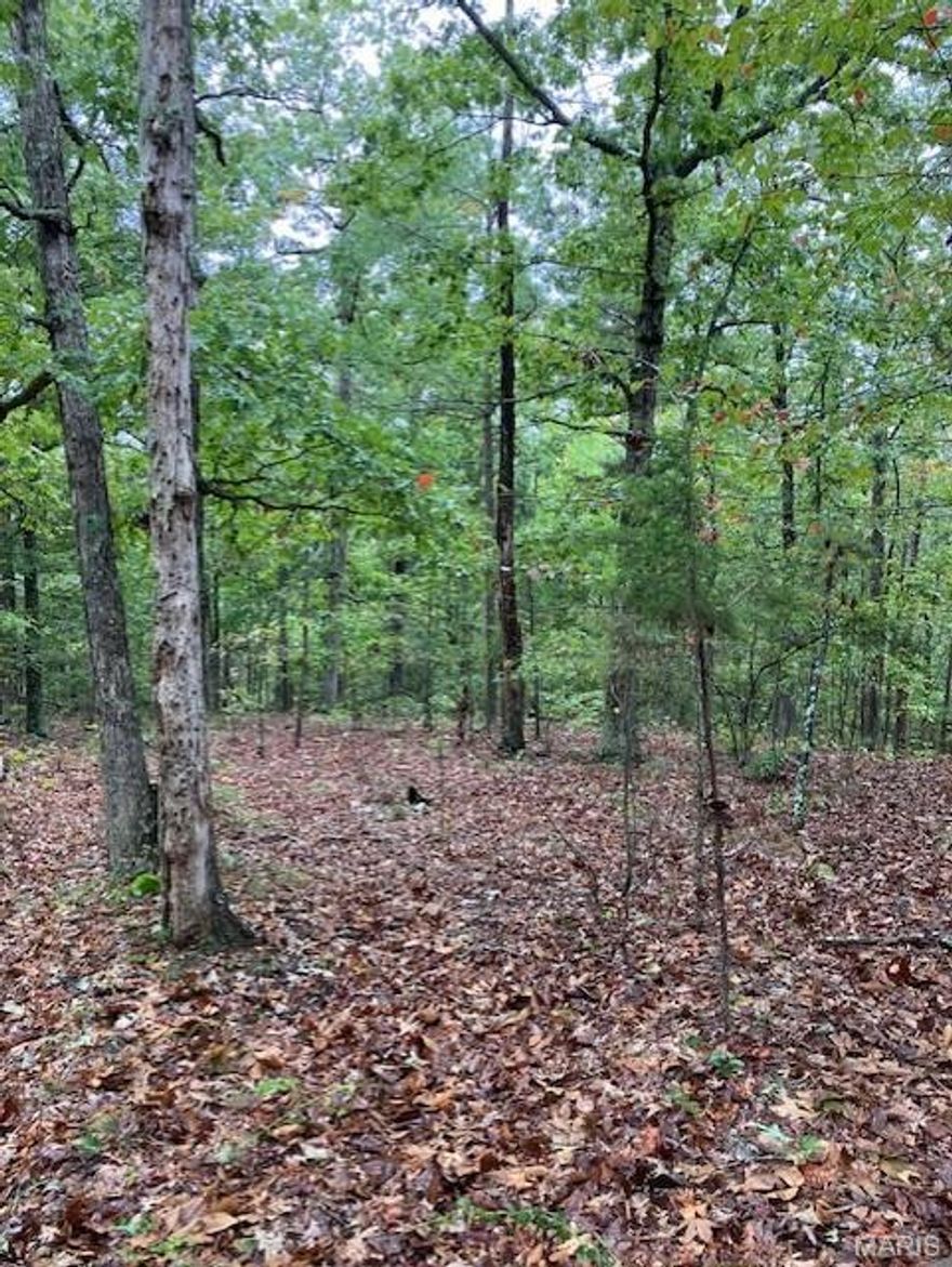 Wooded rural acreage with access to a shared spring-fed stream and within a mile of Mark Twain National Forest ... it doesn't get much better. It's a landowner's dream come true. 
This affordable Ozark oasis comes with NO restrictions. And there's a nice wide deeded easement gravel road leading from the county road to your property.
Hunt, camp, build, ride ATVs on your own land, or fish or play in the shared creek section. The opportunities are endless.
This property is wooded and rolling. You are within a mile of the 22,176-acre Mark Twain National Forest ... public ground where you can also hunt, ride and explore. All this, and only about 2 miles by road from U.S. 67 for quick and easy access.
Use this great 35 acres as a base camp for adventure. This and surrounding land is teeming with deer, turkey and small game, and the occasional feral hog or maybe a black bear. 
Ownership comes with access to a 3-acre shared stretch of the magnificent 12 Mile Creek and gravel bar.