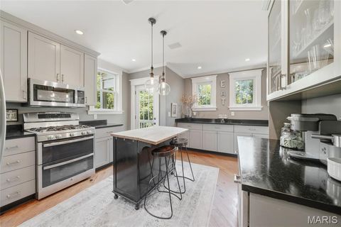 Tiny photo for 340 Gray Avenue, Webster Groves, MO 63119 (MLS # 25068967)