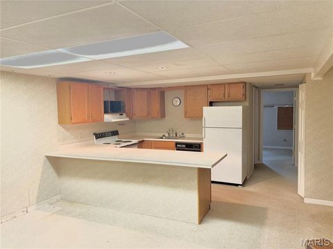 Tiny photo for 13019 Midfield Terrace, St Louis, MO 63146 (MLS # 26036170)