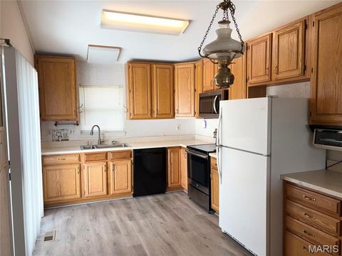 Tiny photo for 13019 Midfield Terrace, St Louis, MO 63146 (MLS # 26036170)