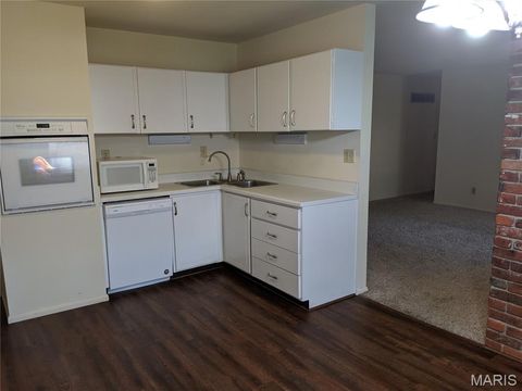 Tiny photo for 822 Dutch Mill Drive, Ballwin, MO 63011 (MLS # 26000876)