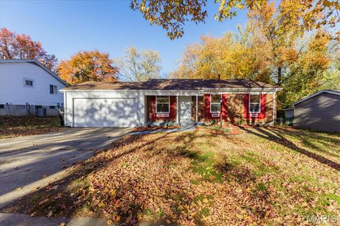 6081 Silver Fox Drive Florissant MO 63034