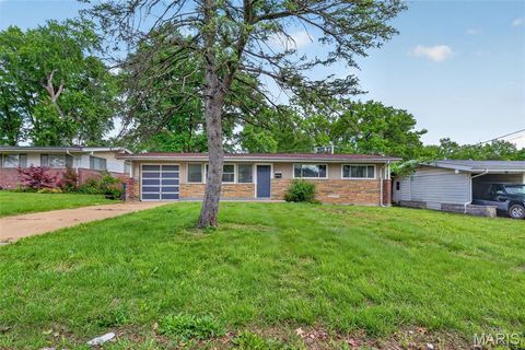 Photo of 10836 Hallstead Drive, St Louis, MO 63136 (MLS # 26026066)