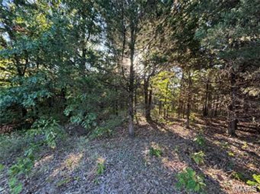 Secluded UNRESTRICTED Wooded Lots at Mark Twain Lake – Build Your Dream Retreat!
Don’t miss this rare chance to own prime 3-acre wooded lot just minutes from Mark Twain Lake! Nestled near Jellystone Park and Roosters Bar & Grill, these lots offer the perfect balance of privacy and convenience.
Enjoy exclusive, direct access to over 20 miles of scenic equestrian and hiking trails in Monroe City, Ralls County, Missouri. 
Whether you’re envisioning a custom home, a unique “shouse,” or a private spot for your RV, these lots back up to peaceful, non-hunting Corps land surrounded by mature hardwoods and abundant wildlife—including deer, turkey, squirrels, and rabbits.
Outdoor lovers will appreciate nearby boating, fishing, hiking, hunting, camping, and shooting sports. Newly constructed quality roads make access easy, and utilities including water, electric, and fiber-optic internet are available.
Located within the Saddlze Development, Route J @ Mark Twain Lake, this is your opportunity to secure secluded land in a sought-after location — ready for your dream to become reality.
Contact us today to learn more! See it. Love it. Own it.