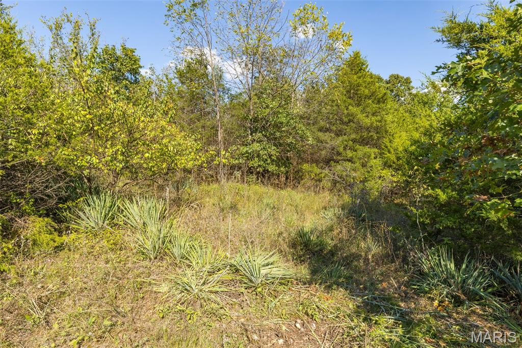 1444 Yellow Rock Road