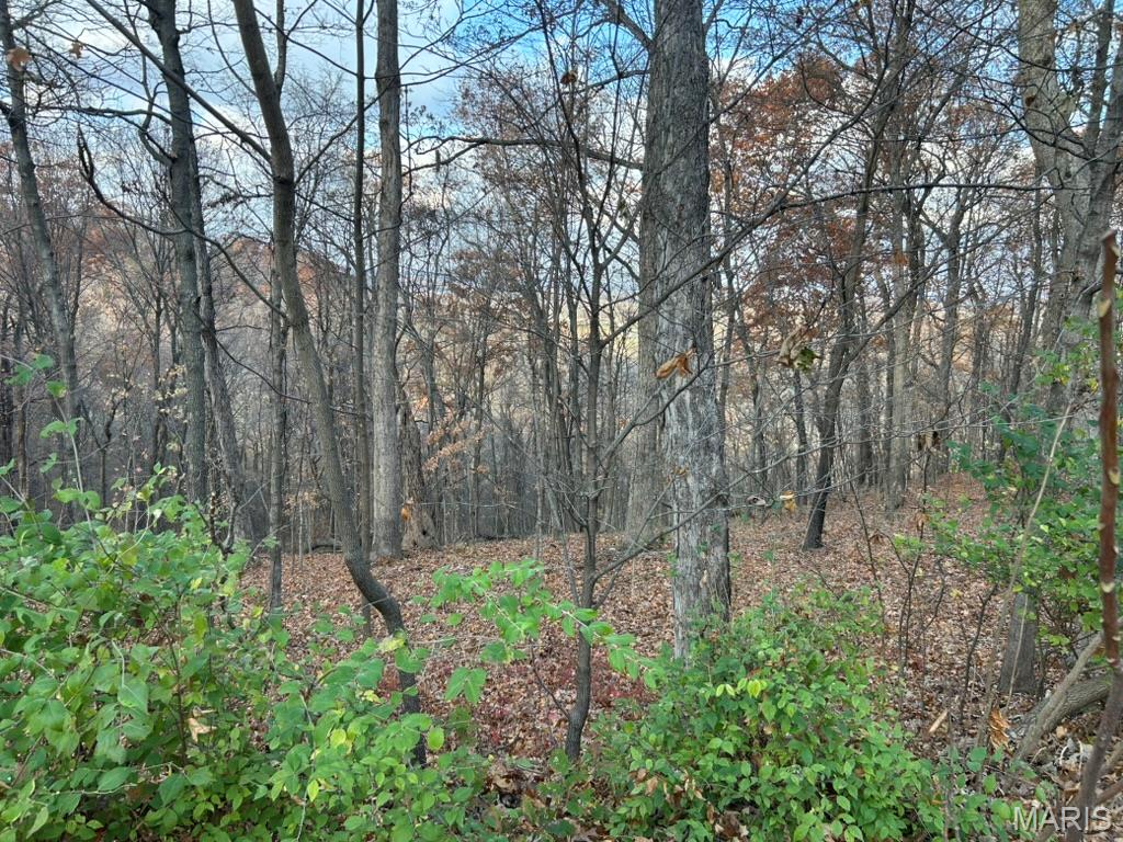 54 The Bluffs Drive 54