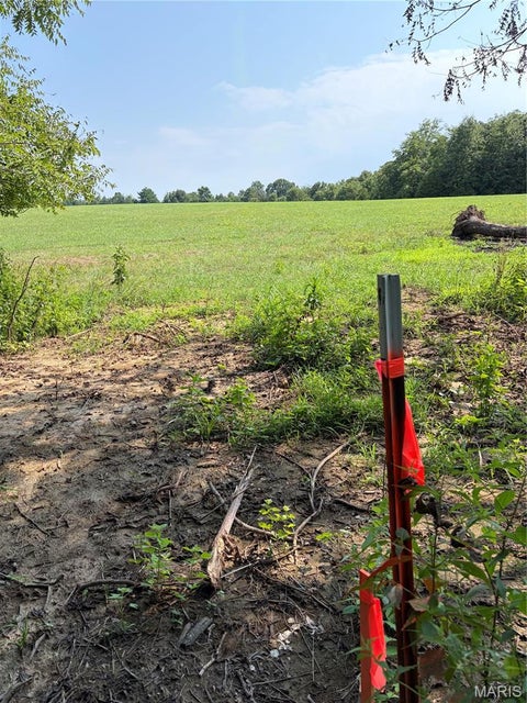 Tiny photo for 79 Penrod Road, Troy, MO 63379 (MLS # 26062261)