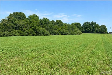 Tiny photo for 79 Penrod Road, Troy, MO 63379 (MLS # 26062261)