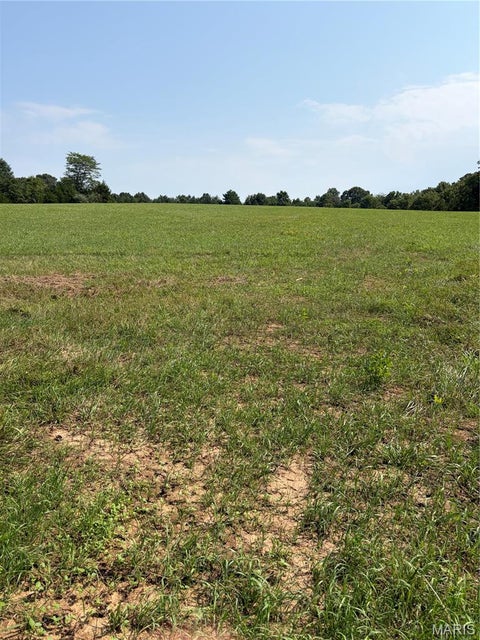 Tiny photo for 79 Penrod Road, Troy, MO 63379 (MLS # 26062261)